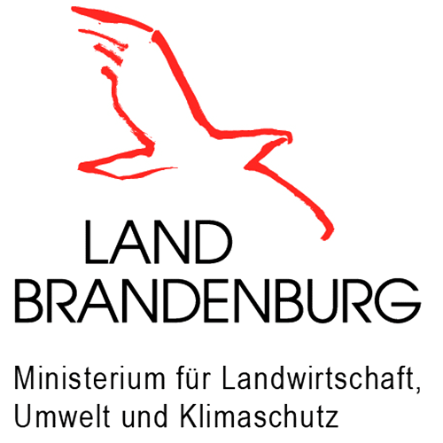 Leadership Essentials - Programm für Führungskräfte 8 MLUK