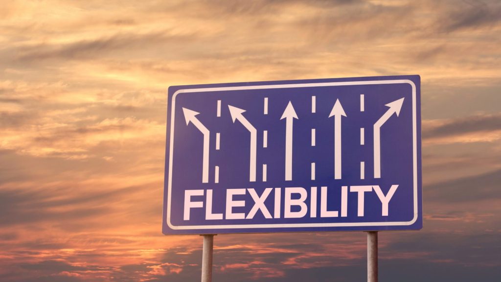 Verkehrs-HInweisschuld mit vier Spuren und vier Pfeilen daruner das Wort Flexibility als Sinnbild für psychologische Flexibilität